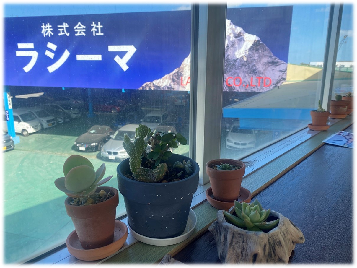 誕生日プレゼント